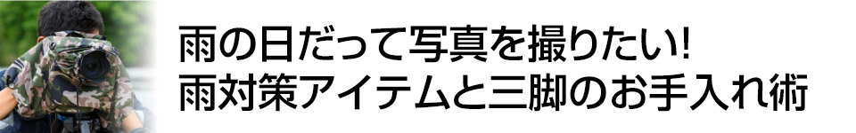 デジカメWatch　雨の日だって写真を撮りたい！　雨対策アイテムと三脚のお手入れ術　野鳥写真家：秋山　薫氏