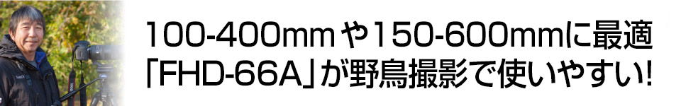 デジカメWatch　100-400mmや150-600mmクラスに最適　新型雲台「FHD-66A」が野鳥撮影で使いやすい！　野鳥写真家：戸塚　学氏