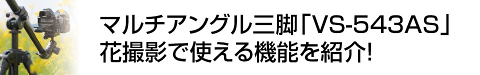 【製品特集】マルチアングル三脚「VS-543AS」　花撮影で使える機能を紹介！