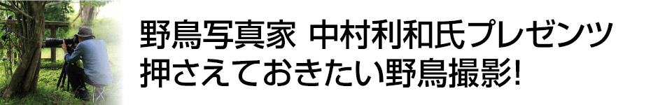 【撮影講座特集】野鳥写真家　中村利和氏プレゼンツ　押さえておきたい野鳥撮影！