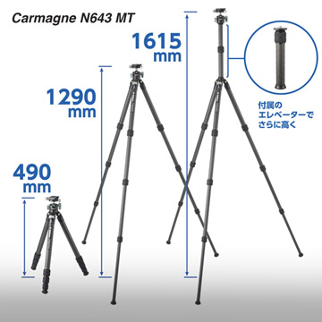 最大高さは約161cm