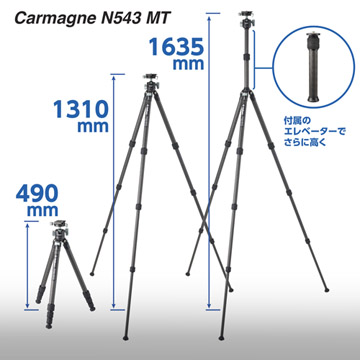 最大高さは約163cm